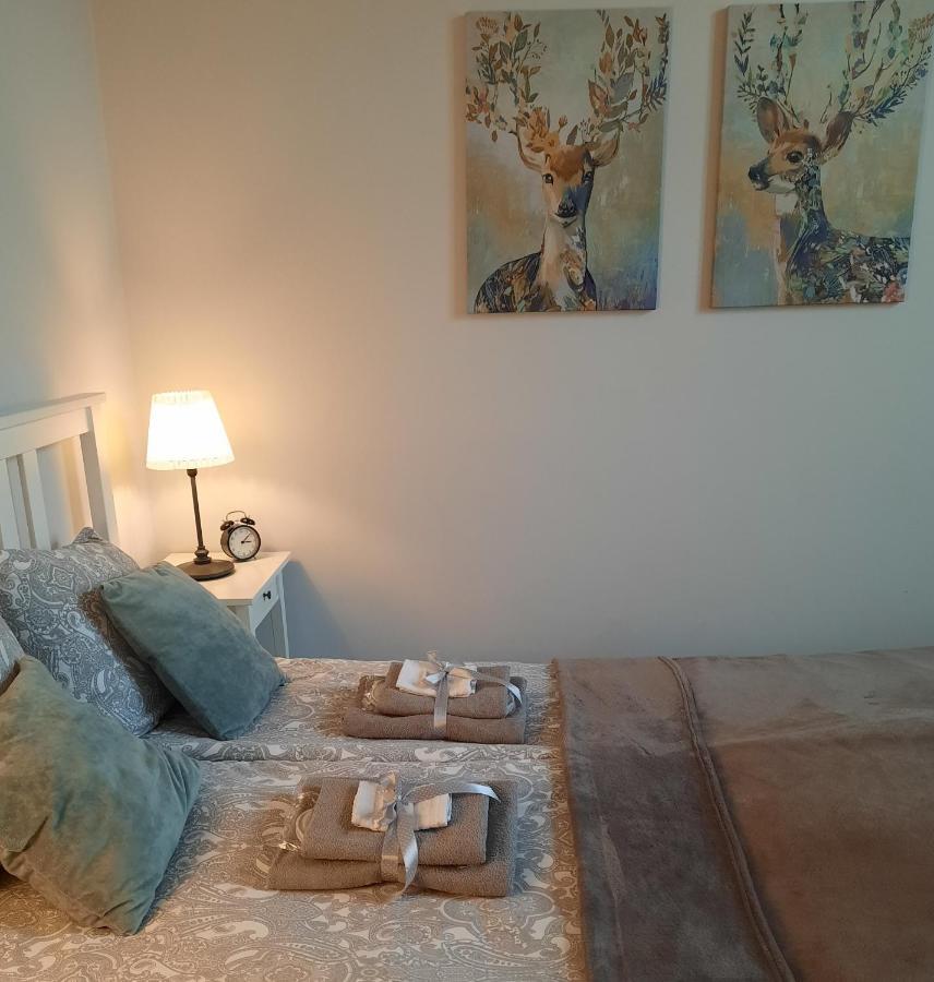 Apartamenty Bydgostia Bromberg Exterior foto